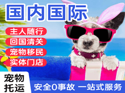 惠州机场货运国际宠物托运 【国